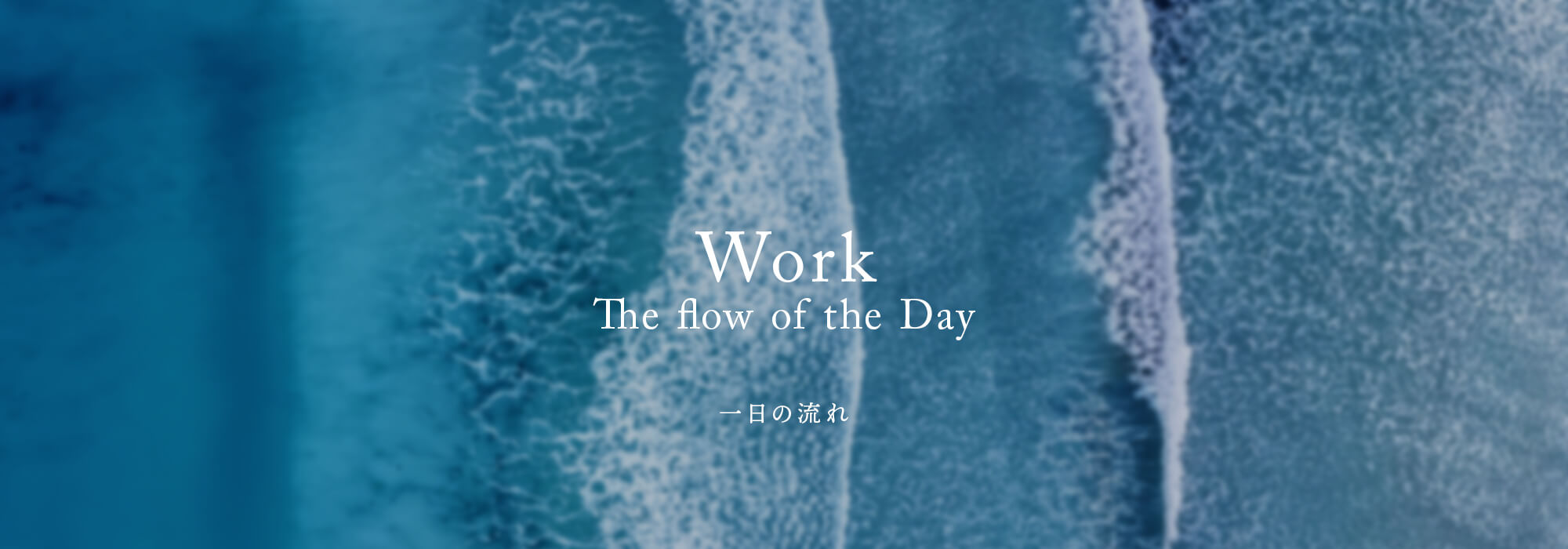 一日の流れ